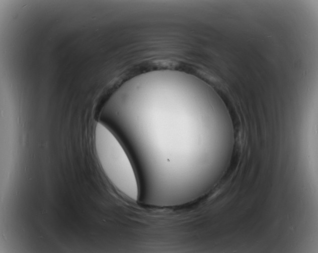 X0000085280424200703090940