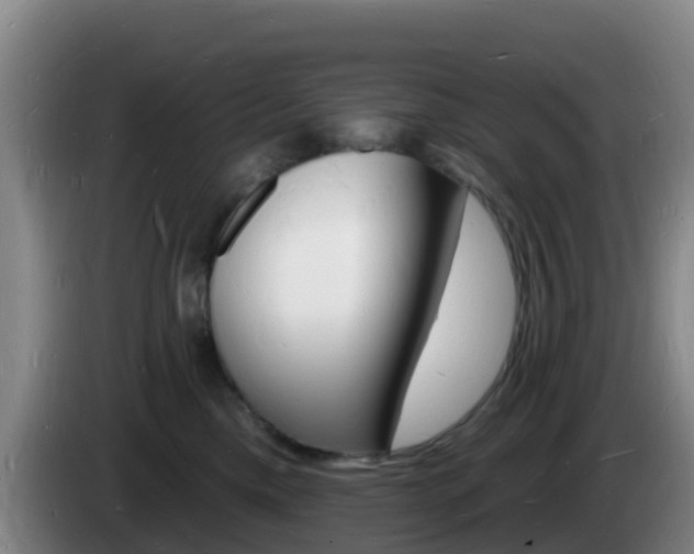 X0000085280425200703090940