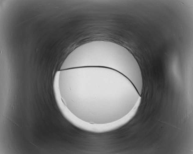 X0000085280431200703090940