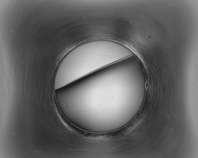 X0000085280433200703090939
