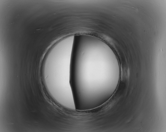 X0000085280435200703090939