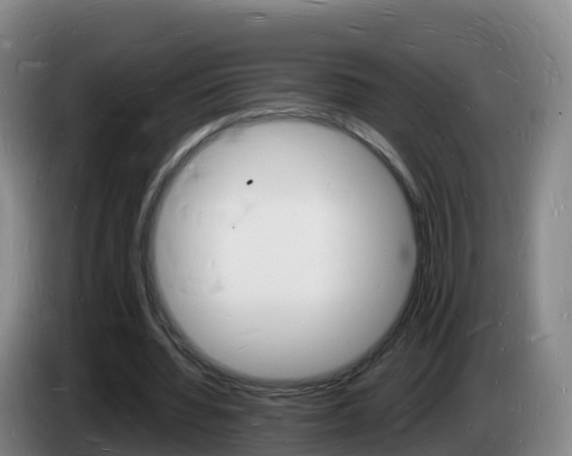 X0000085280436200703090939