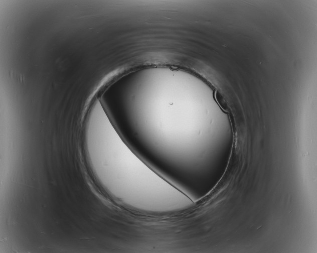 X0000085280438200703090939