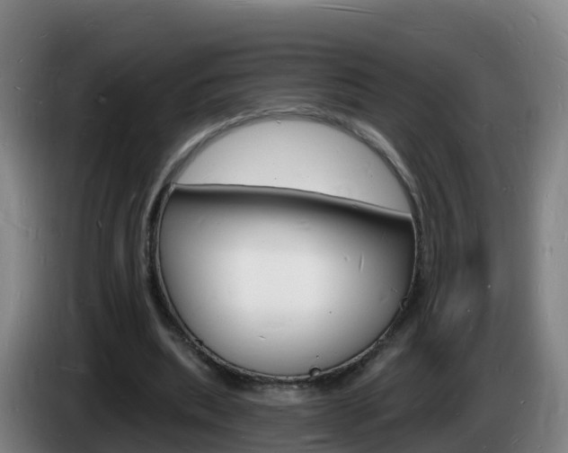 X0000085280439200703090939