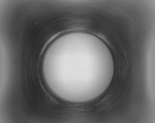 X0000085280440200703090939