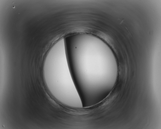 X0000085280445200703090939