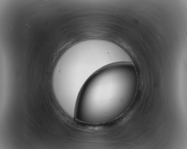X0000085280450200703090940