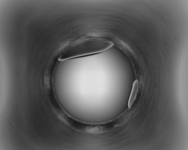 X0000085280452200703090940