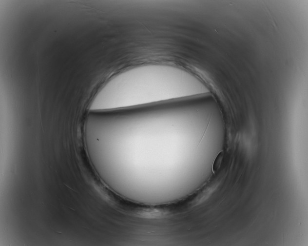 X0000085280453200703090940