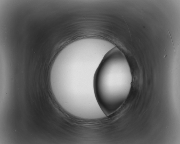 X0000085280454200703090940