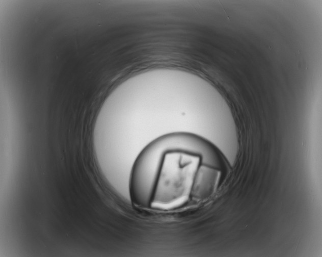 X0000085280456200703090940