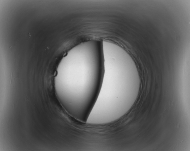 X0000085280462200703090940