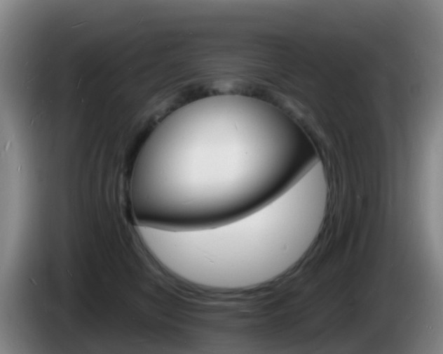X0000085280470200703090940