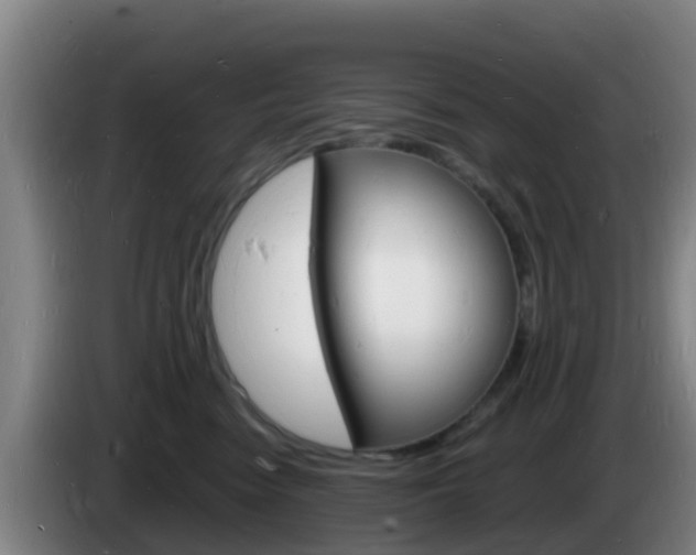 X0000085280474200703090940
