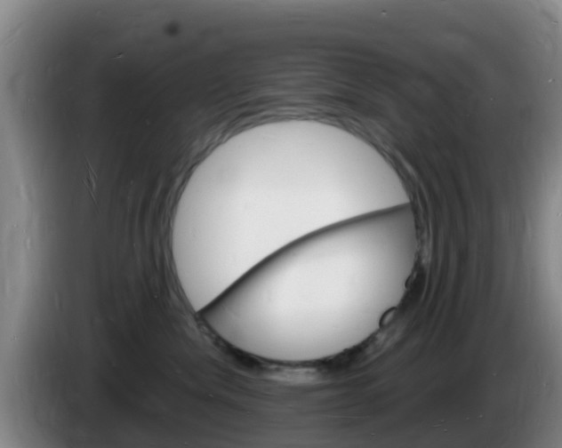 X0000085280476200703090940