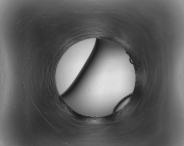 X0000085280479200703090940