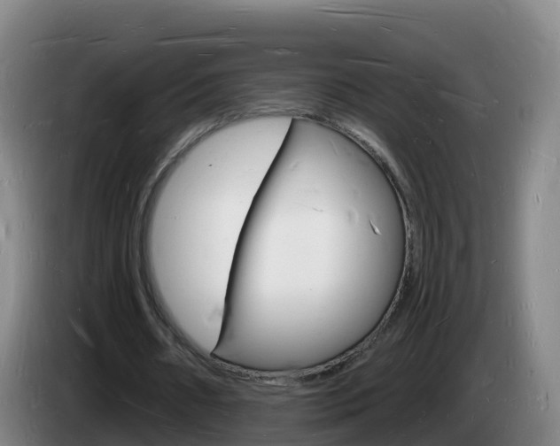 X0000085280482200703090939
