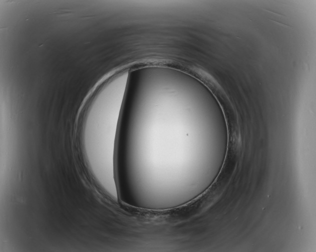 X0000085280484200703090939
