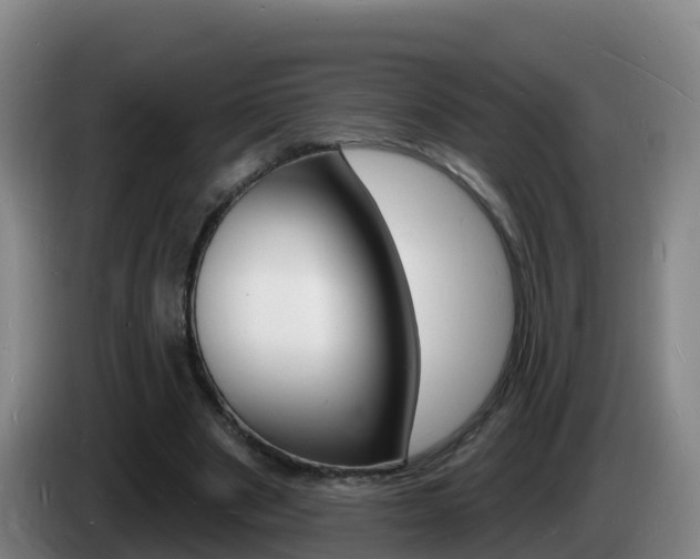 X0000085280489200703090939