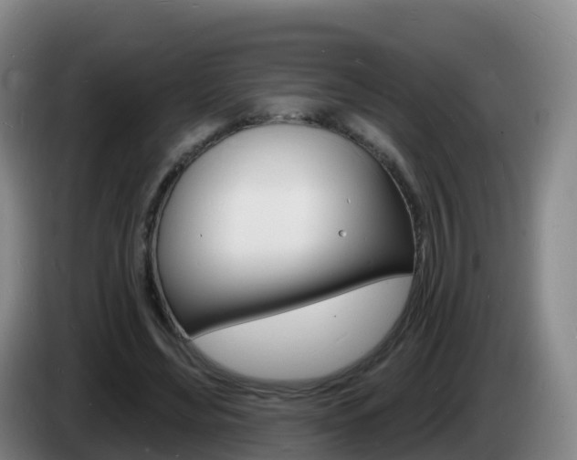X0000085280492200703090939