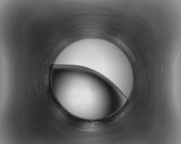 X0000085280497200703090939