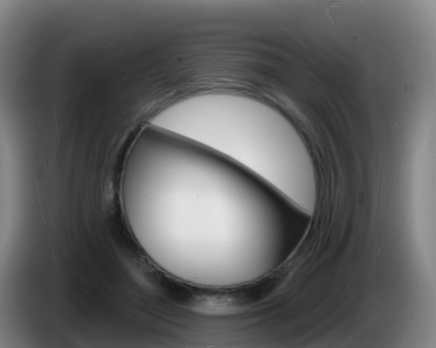 X0000085280500200703090939