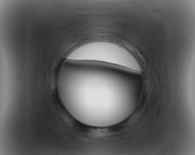X0000085280517200703090939