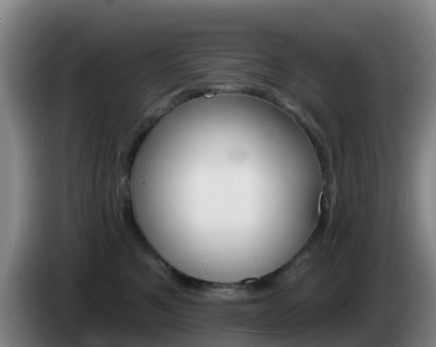 X0000085280521200703090939