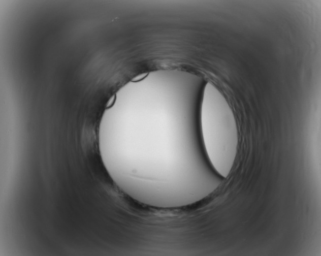 X0000085280523200703090939