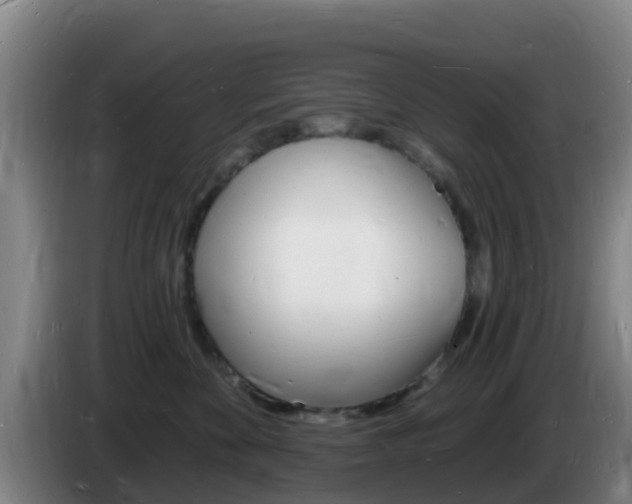 X0000085280524200703090939