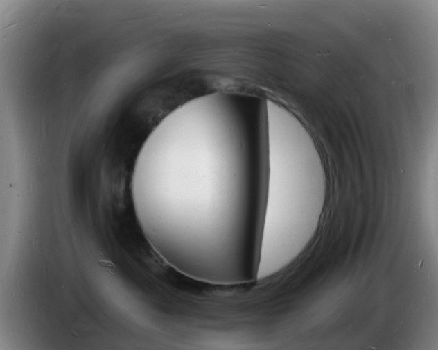 X0000085280525200703090939