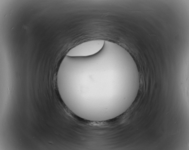 X0000085280526200703090939