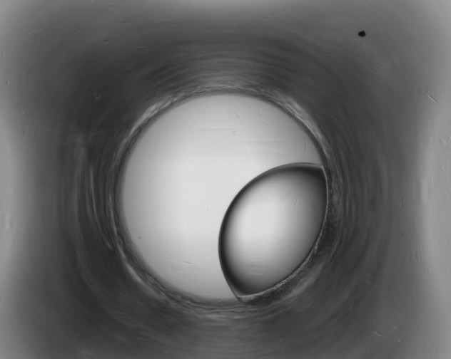 X0000085280530200703090938