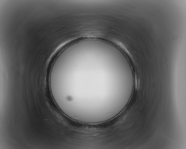 X0000085280531200703090938