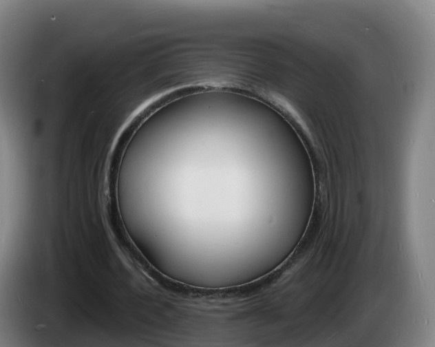 X0000085280532200703090938