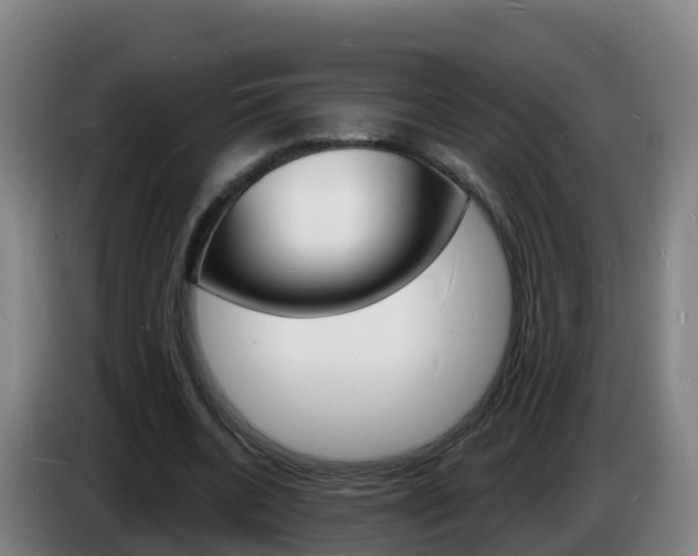 X0000085280536200703090938