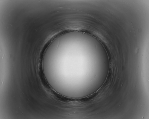X0000085280544200703090938