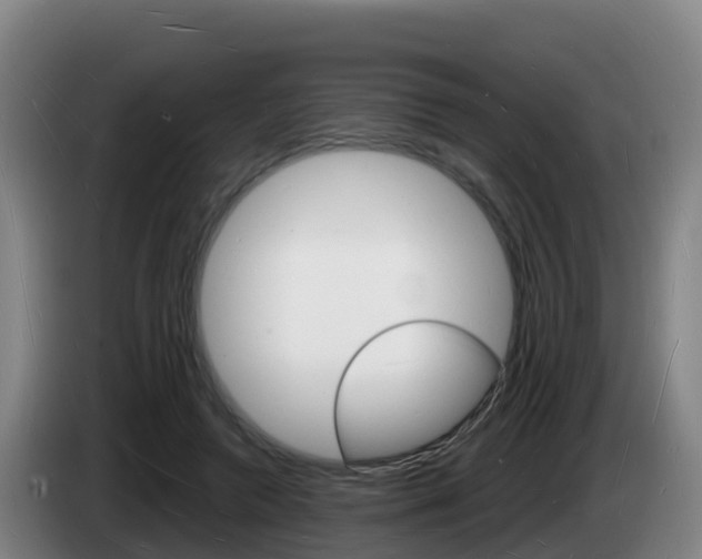 X0000085280546200703090938