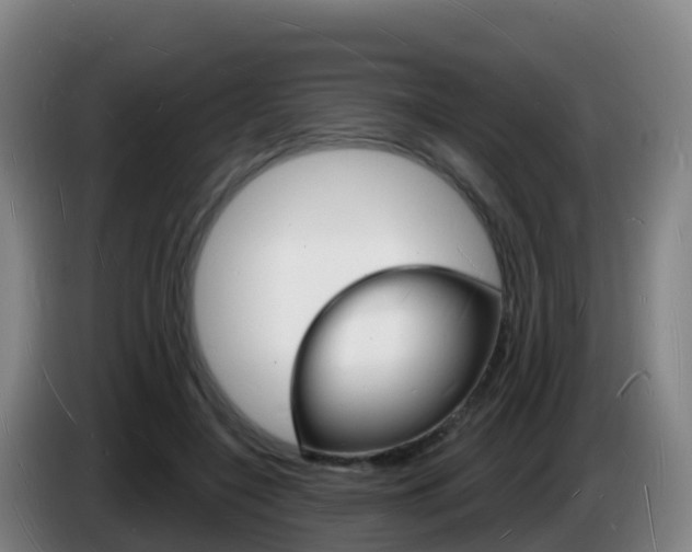 X0000085280548200703090938