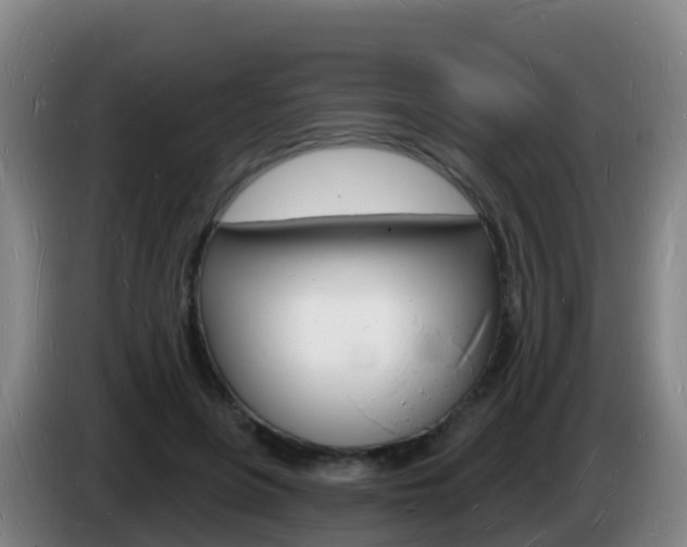 X0000085280551200703090938