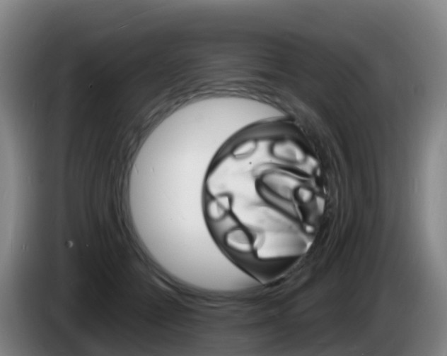 X0000085280558200703090938