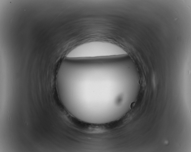 X0000085280559200703090938