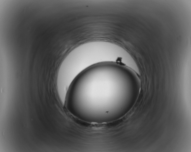 X0000085280560200703090938