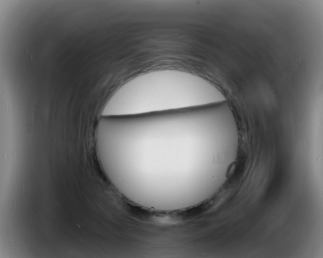 X0000085280561200703090938