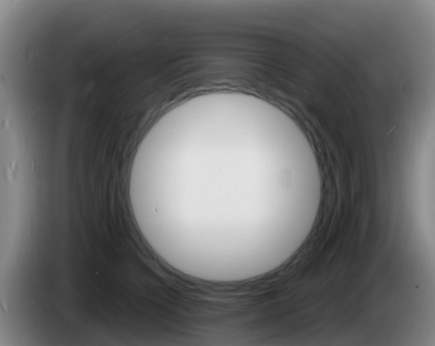 X0000085280564200703090938