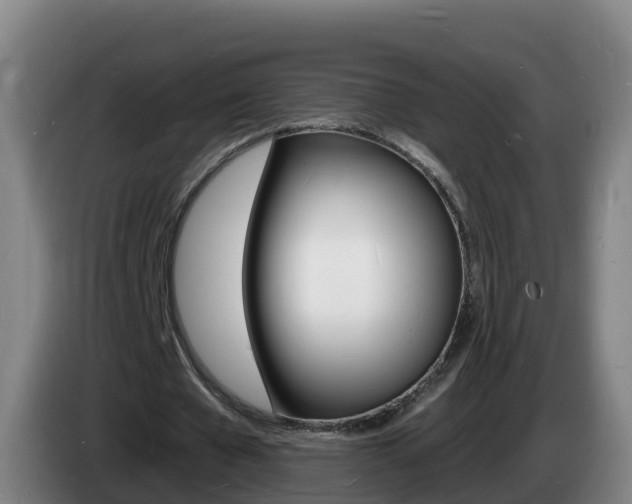 X0000085280577200703090938