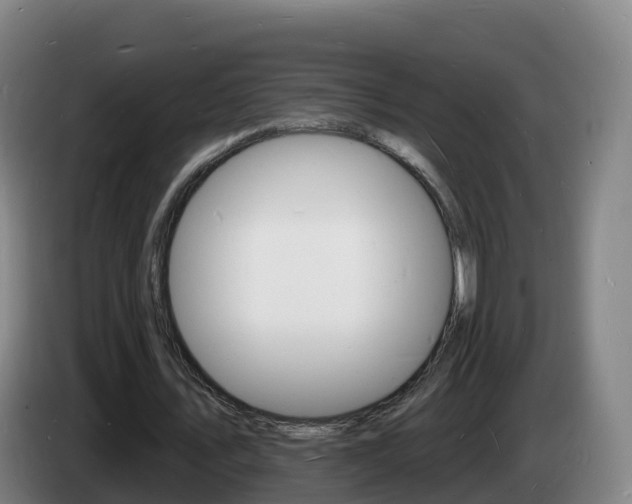 X0000085280579200703090938