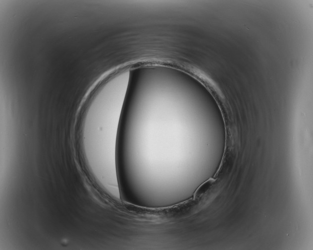 X0000085280580200703090938