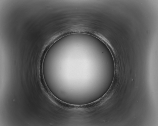 X0000085280581200703090938