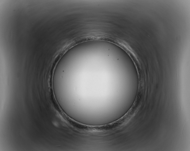 X0000085280585200703090938